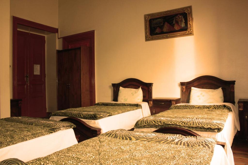 Hola Cairo Hostel 객실 사진